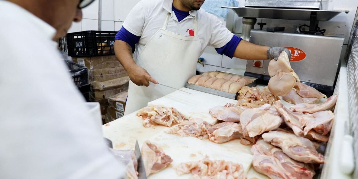 gripe-aviaria:-17-paises-suspendem-restricao-a-carne-brasileira 