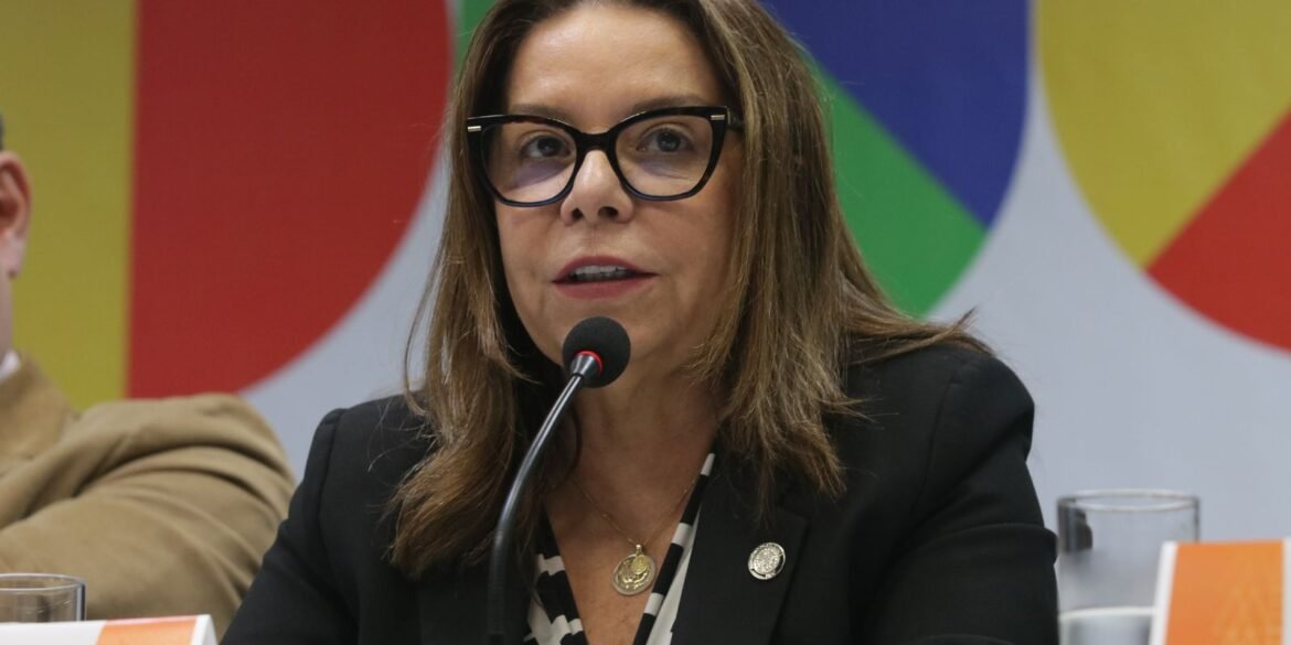 estudantes-devem-buscar-alternativa-aos-eua,-diz-presidente-da-capes