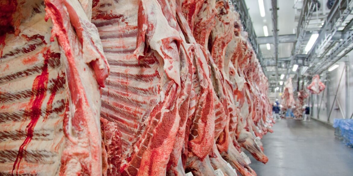 exportacao-de-carne-bovina-bate-recorde-em-mes-anterior-ao-tarifaco