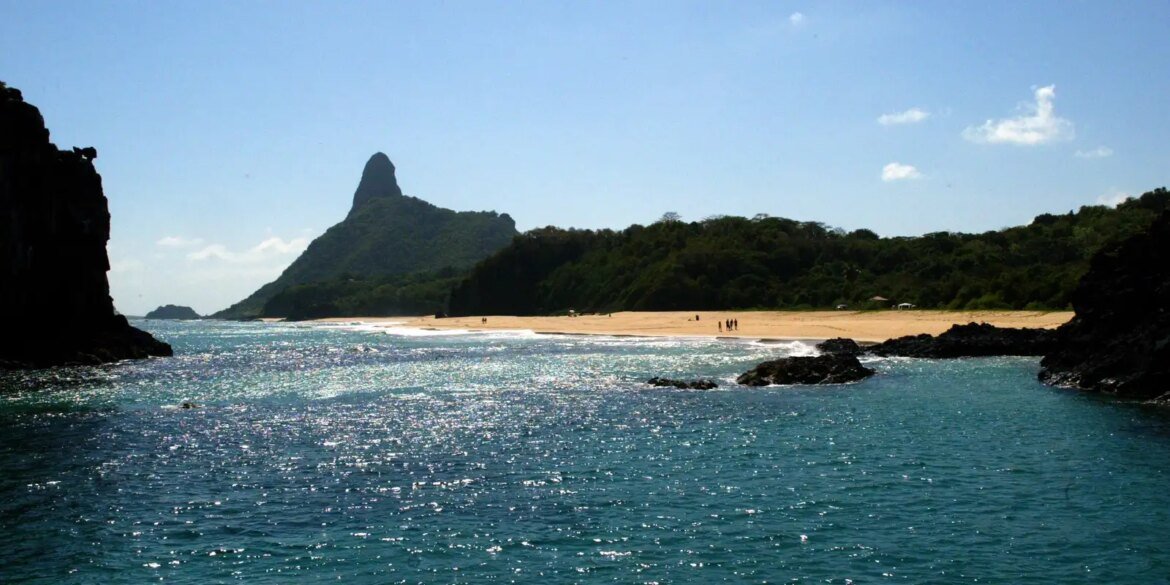 ilhas-brasileiras:-estudo-revela-presenca-de-especies-exclusivas