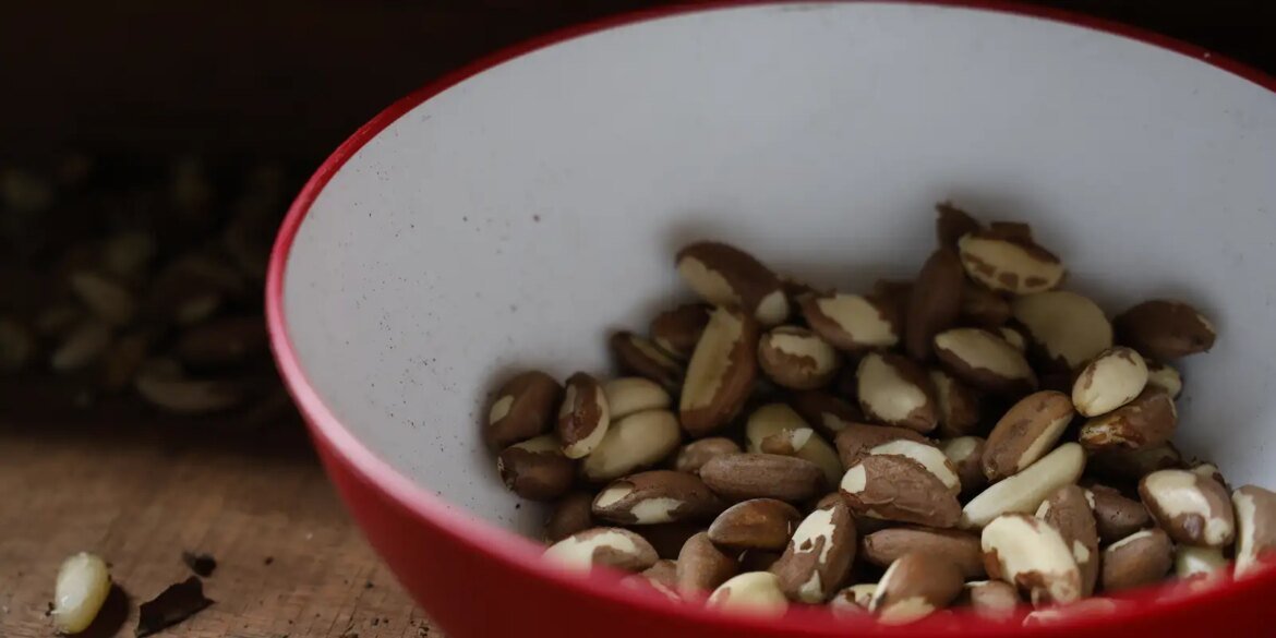 agricultura-familiar-do-nordeste-vai-a-maior-feira-mundial-alimentos