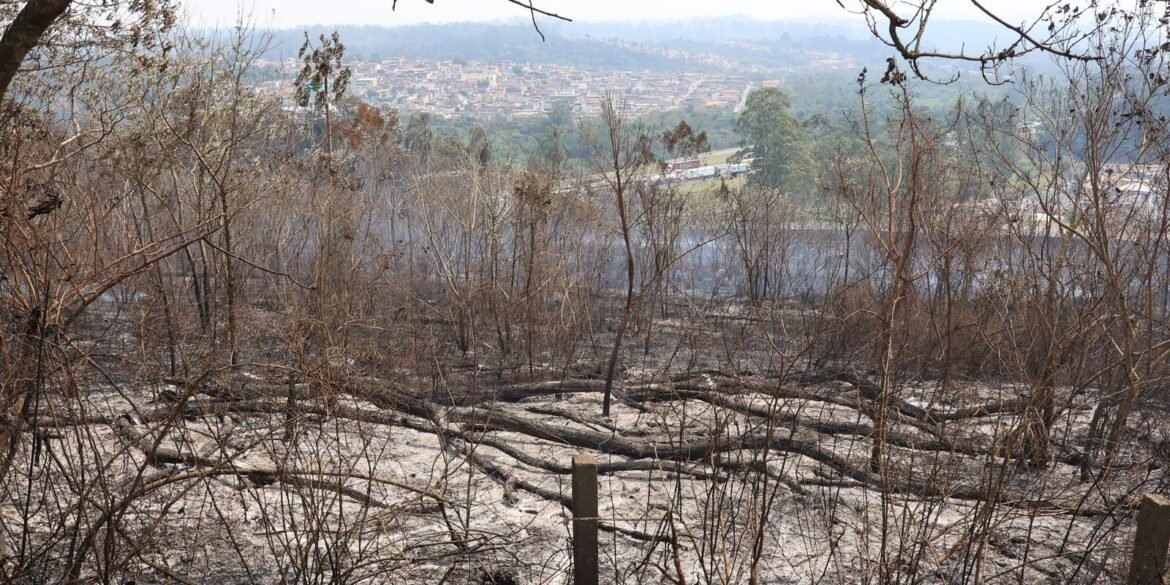 estudo-aponta-que-financiamento-climatico-no-brasil-e-desigual