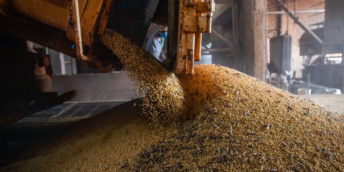 economia-brasileira-cresce-1,1%-no-1o-trimestre